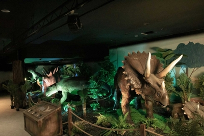 Dinosaur Outpost Image #4 Dinosaur Outpost Image #4