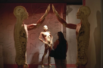 Real Bodies Las Vegas Image #3